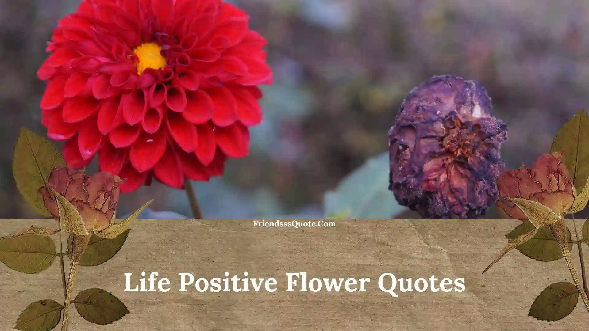 Life Positive Flower Quotes