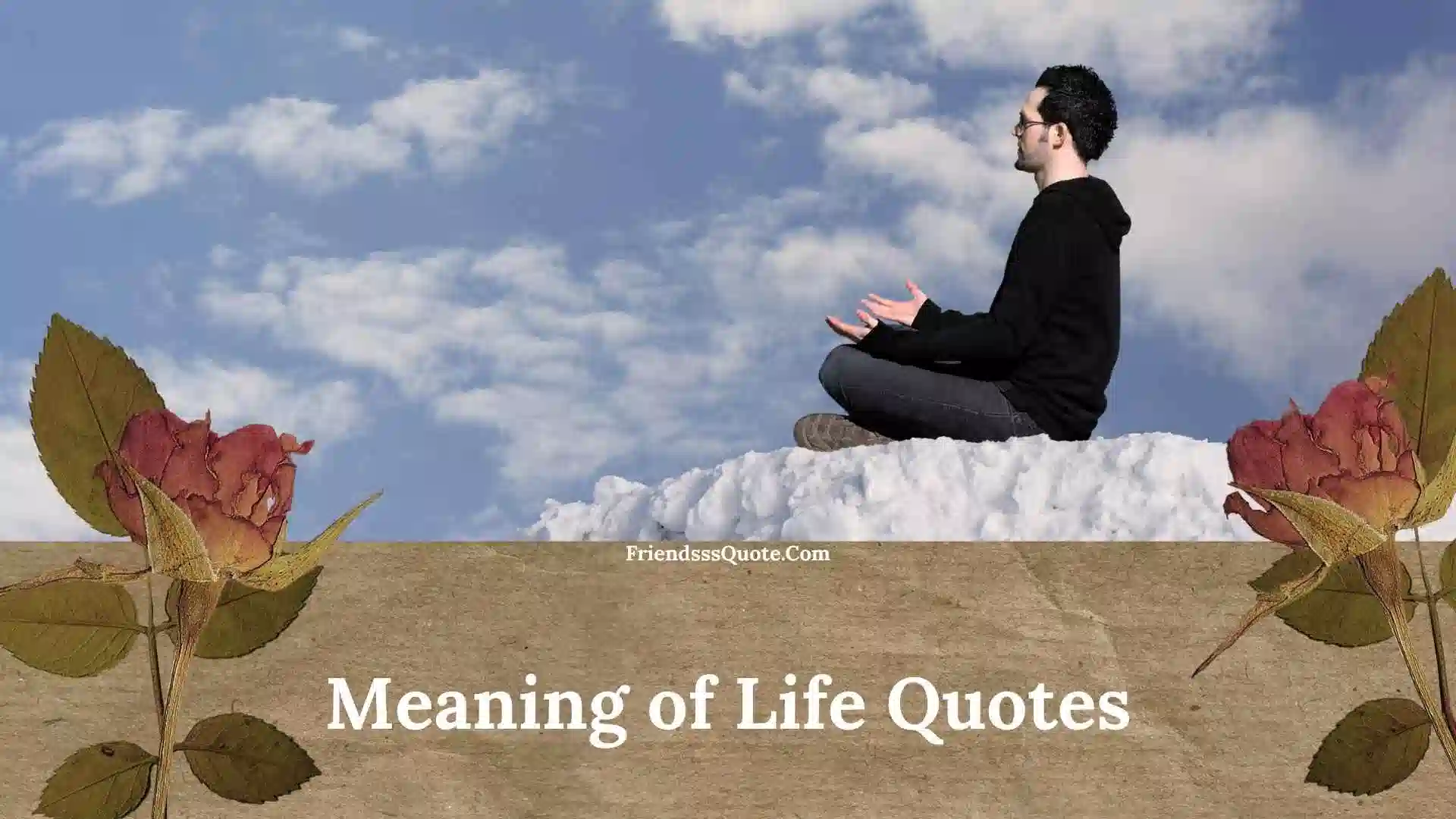 Meaning of Life Quotes