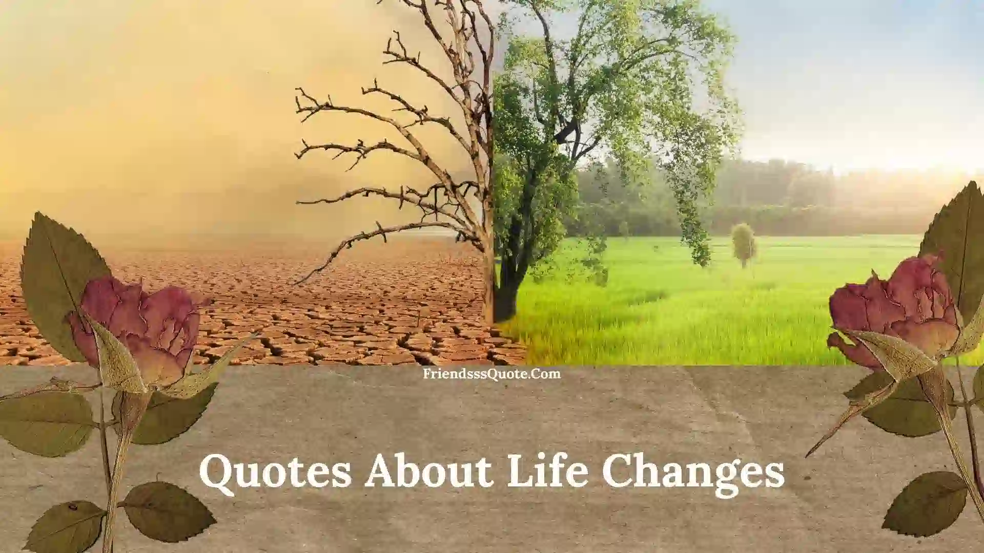 Quotes About Life Changes