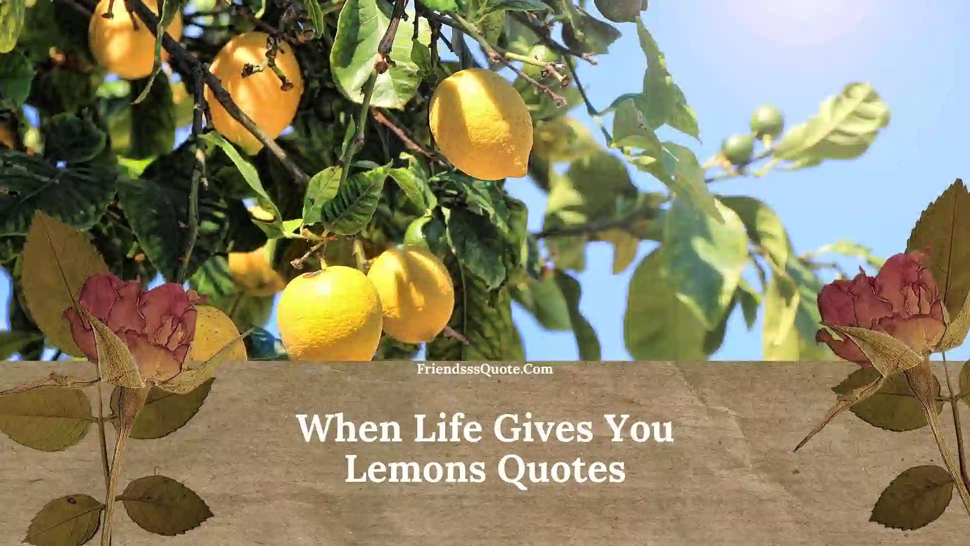 When Life Gives You Lemons Quotes