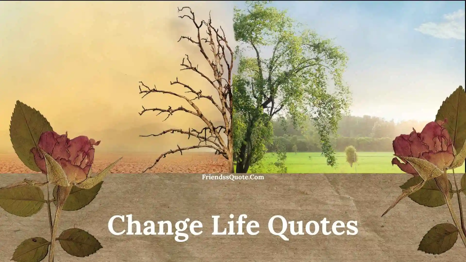 Change Life Quotes