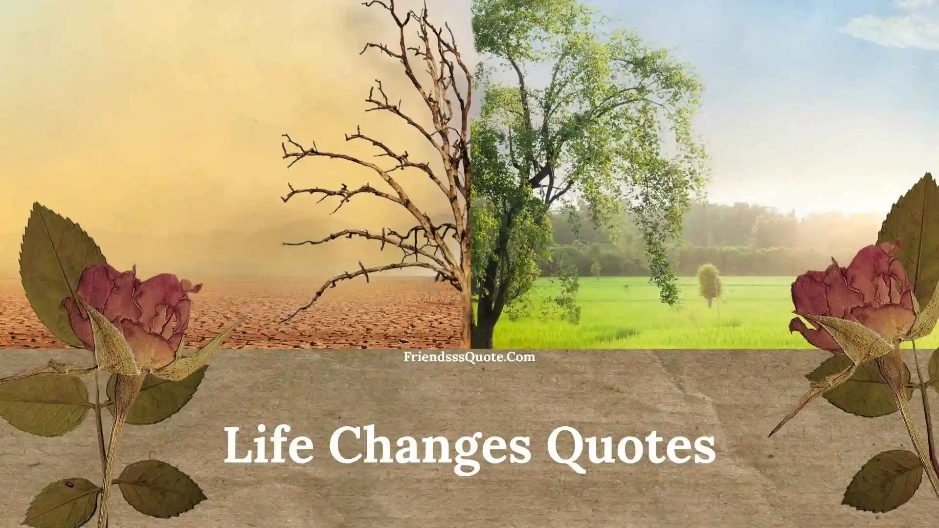 Life Changes Quotes